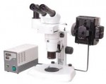 jual alat ukur medis BestScope BS-3060FC Fluorescent Stereo Microscope